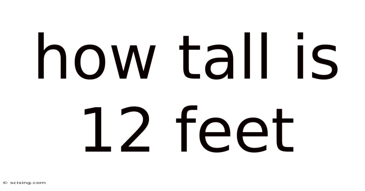 How Tall Is 12 Feet