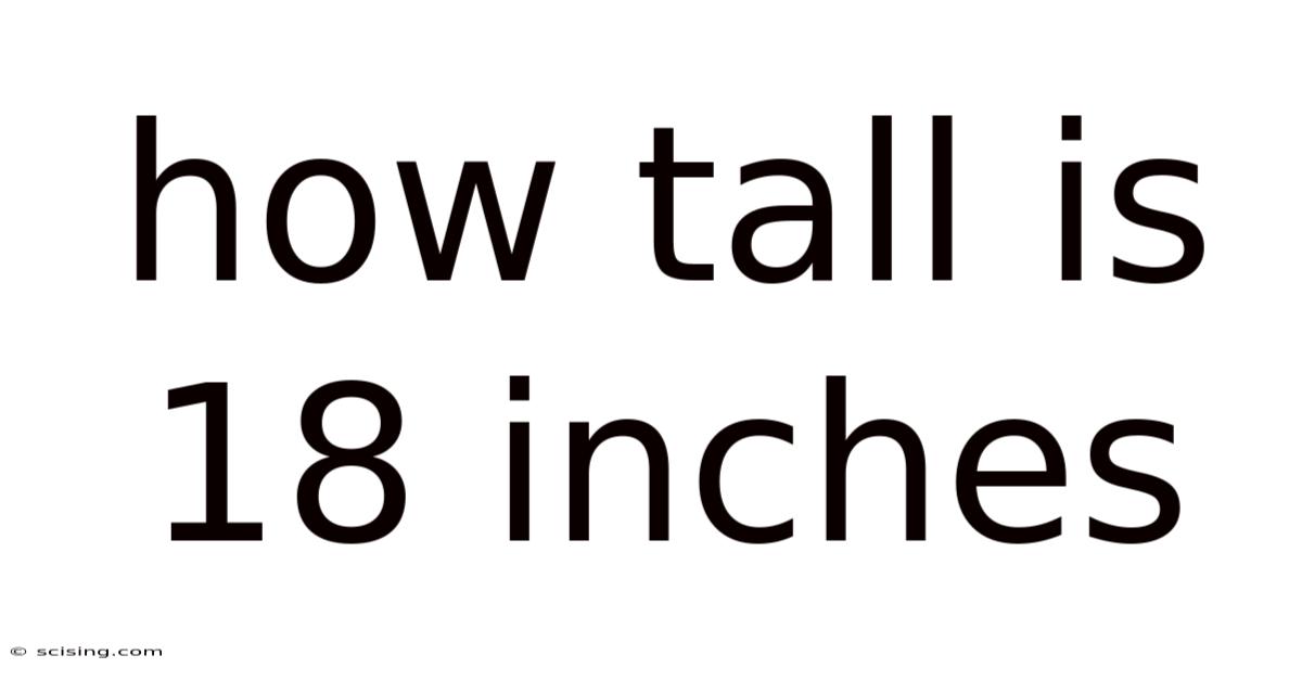 How Tall Is 18 Inches