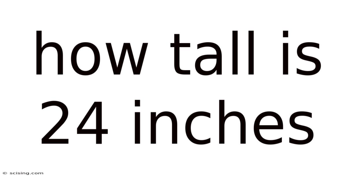 How Tall Is 24 Inches