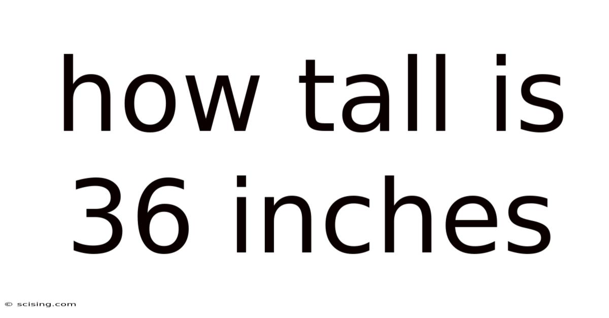 How Tall Is 36 Inches