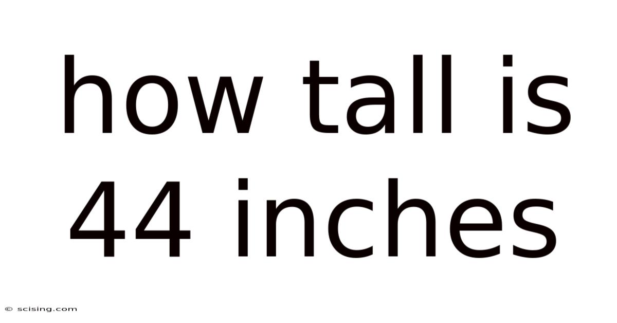 How Tall Is 44 Inches