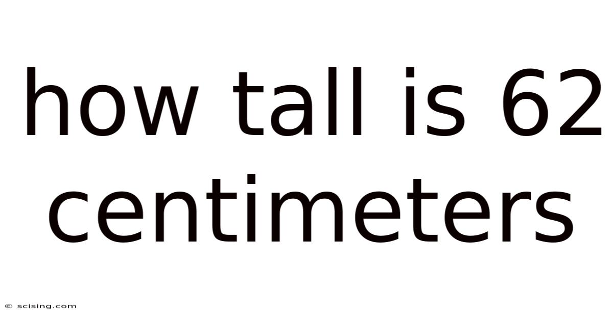 How Tall Is 62 Centimeters