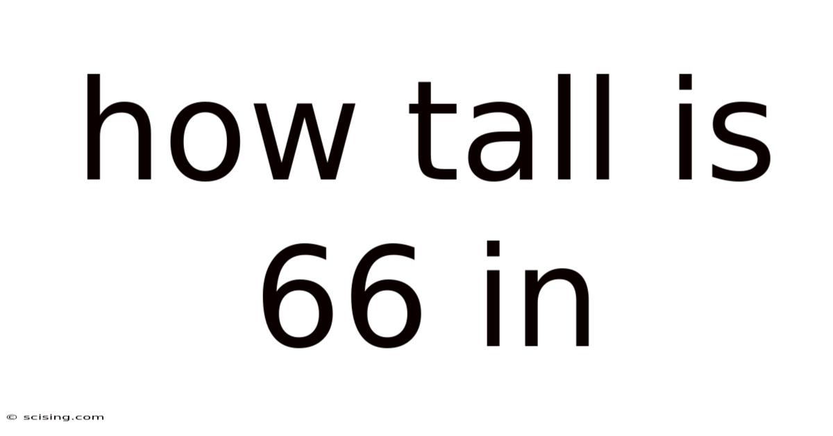 How Tall Is 66 In