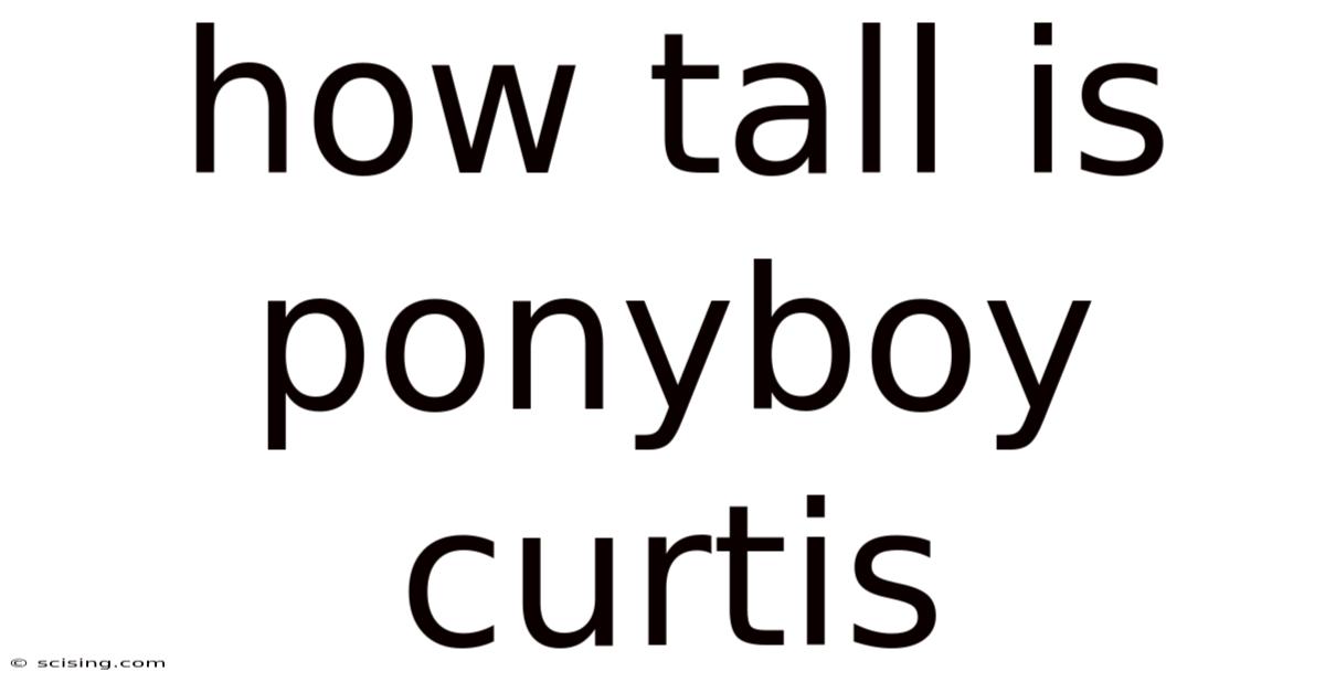 How Tall Is Ponyboy Curtis