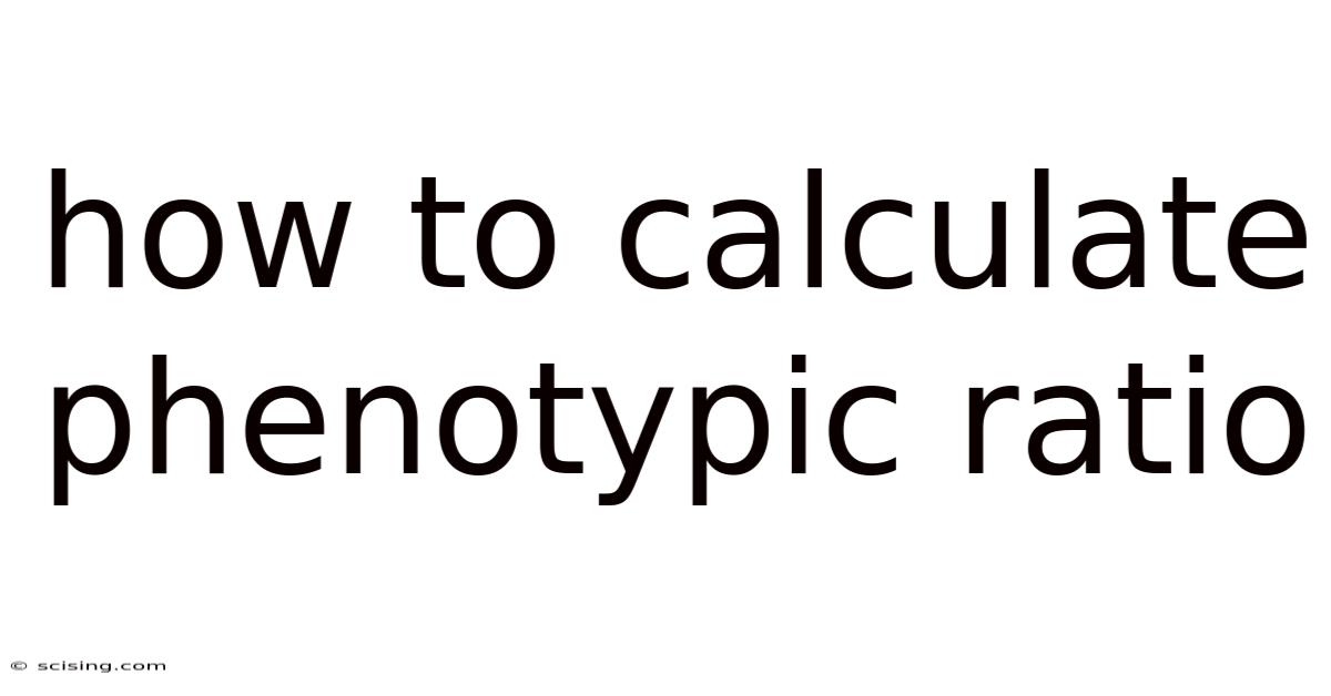 How To Calculate Phenotypic Ratio