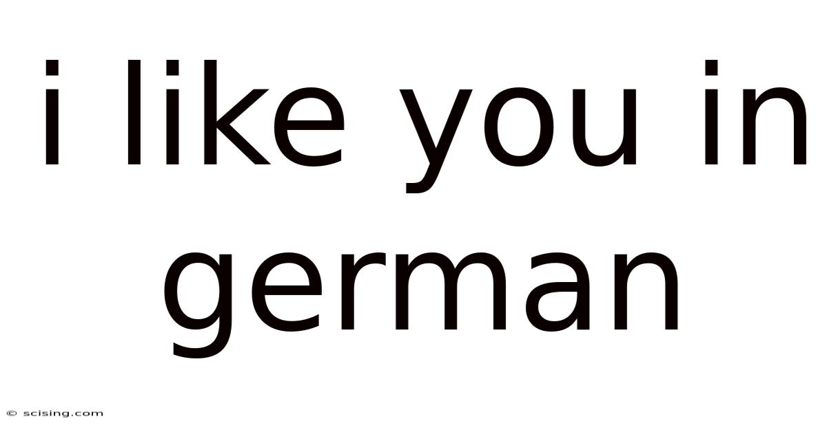 I Like You In German