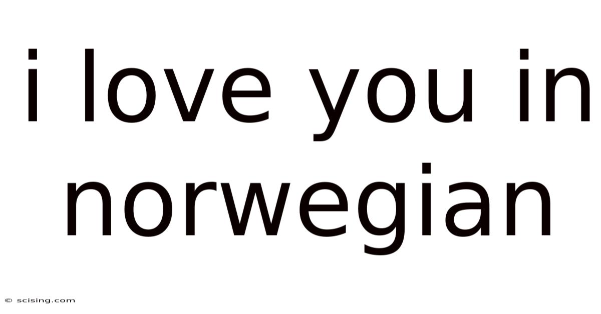 I Love You In Norwegian