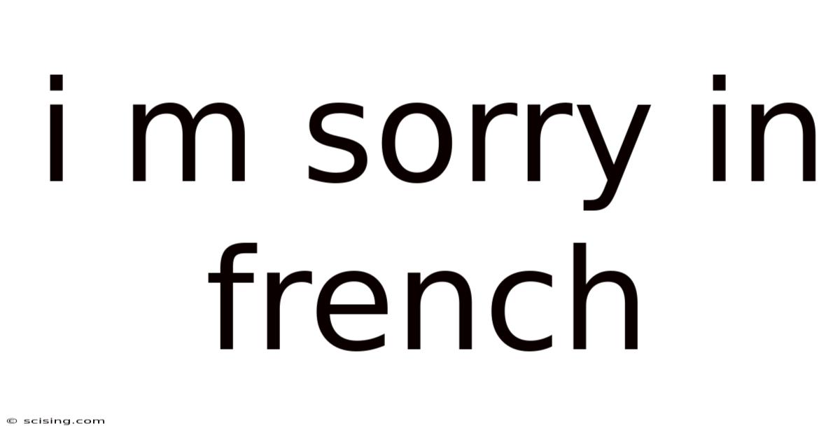 I M Sorry In French