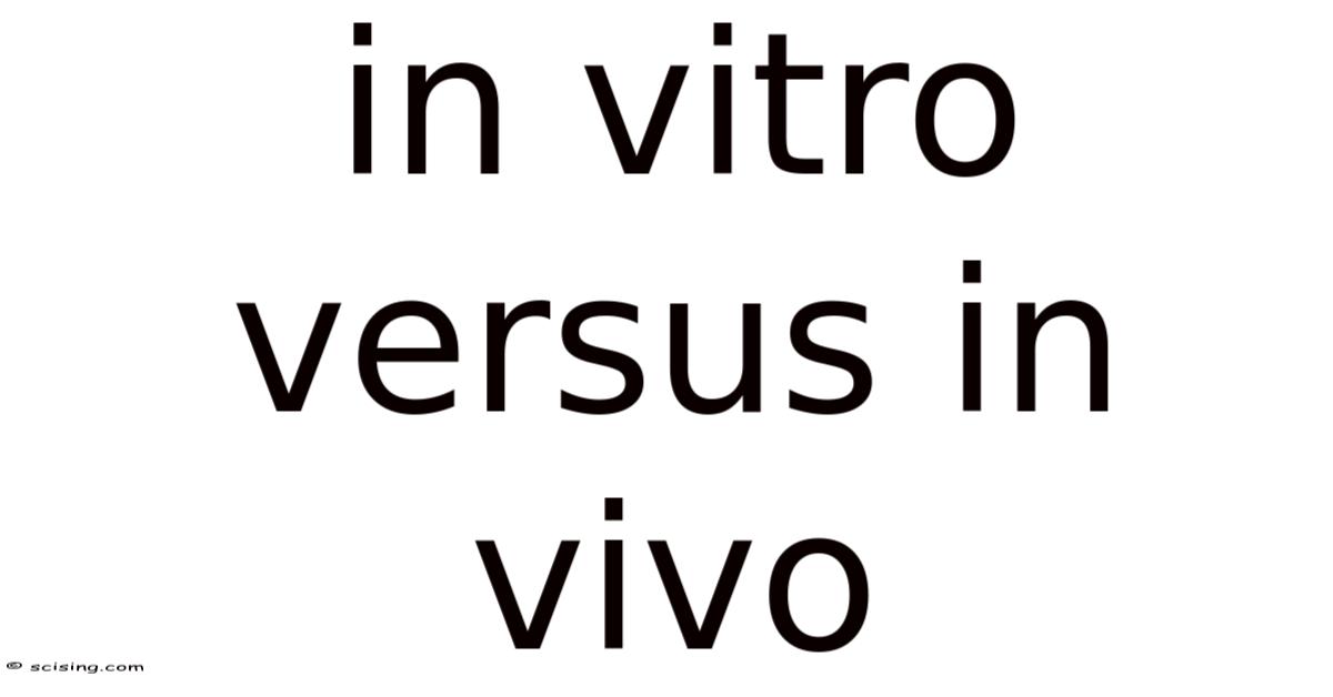 In Vitro Versus In Vivo