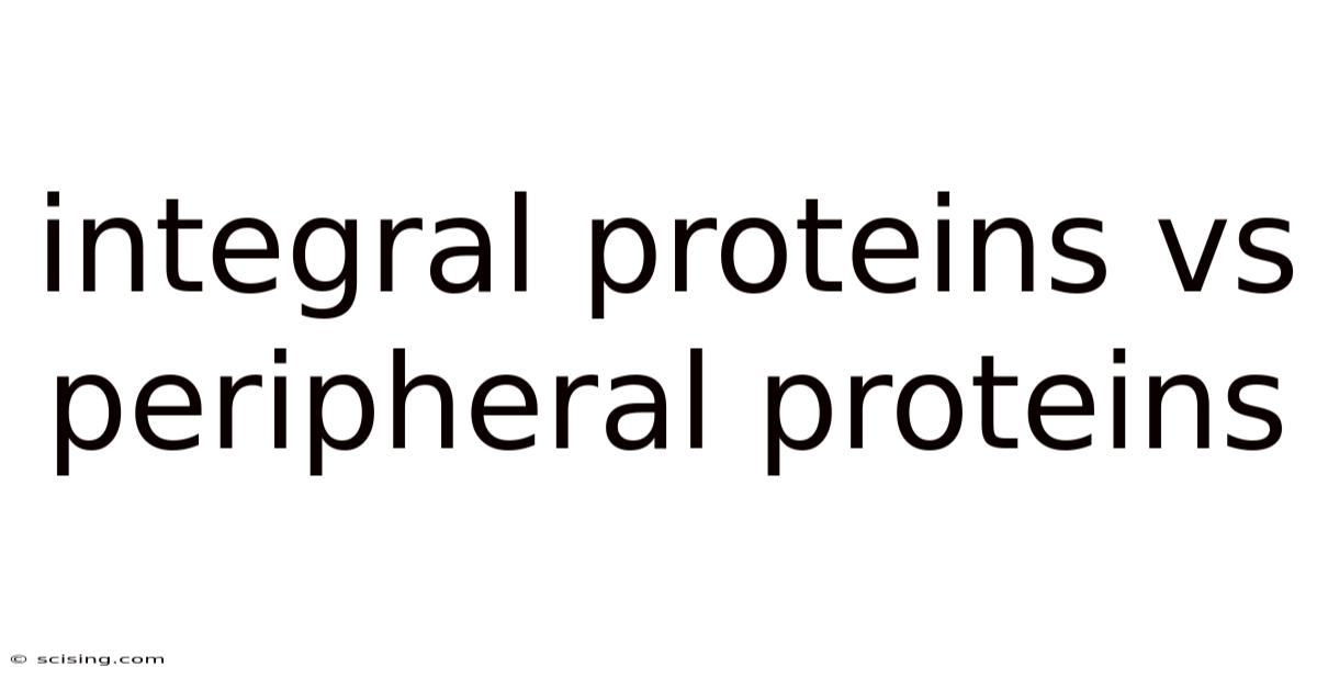 Integral Proteins Vs Peripheral Proteins