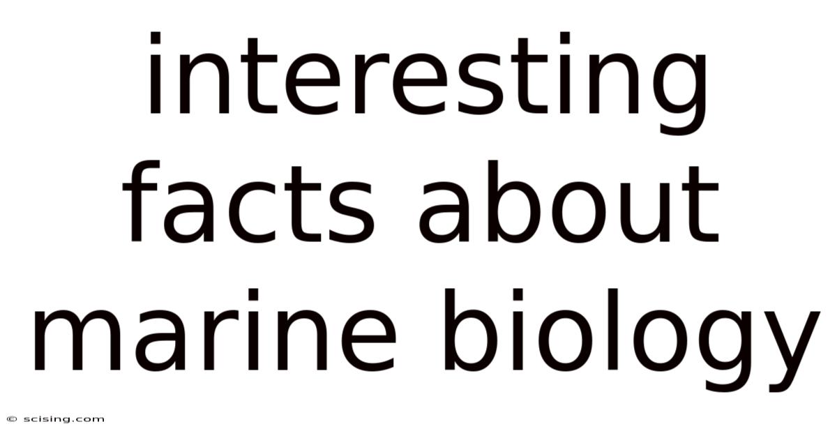 Interesting Facts About Marine Biology