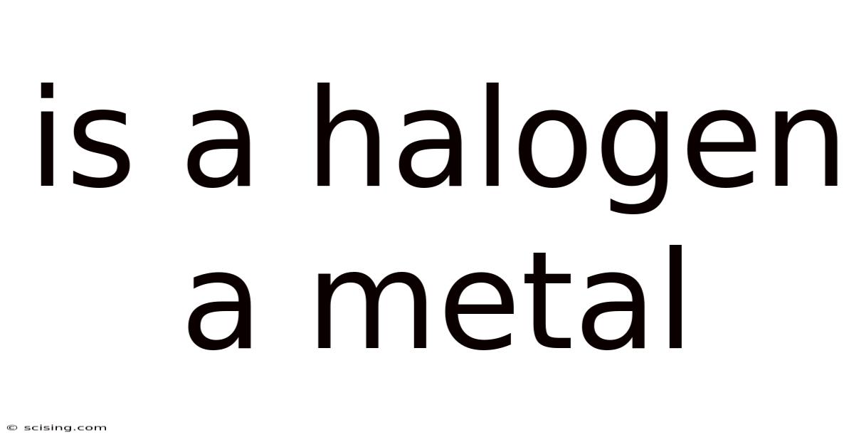 Is A Halogen A Metal