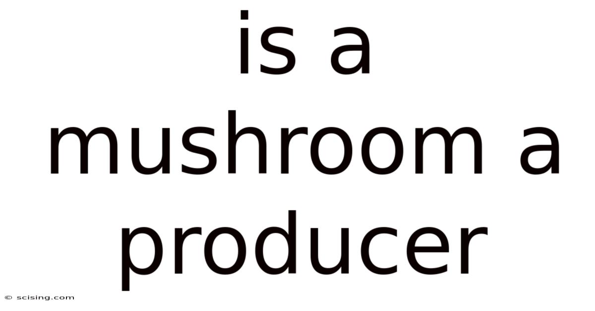 Is A Mushroom A Producer
