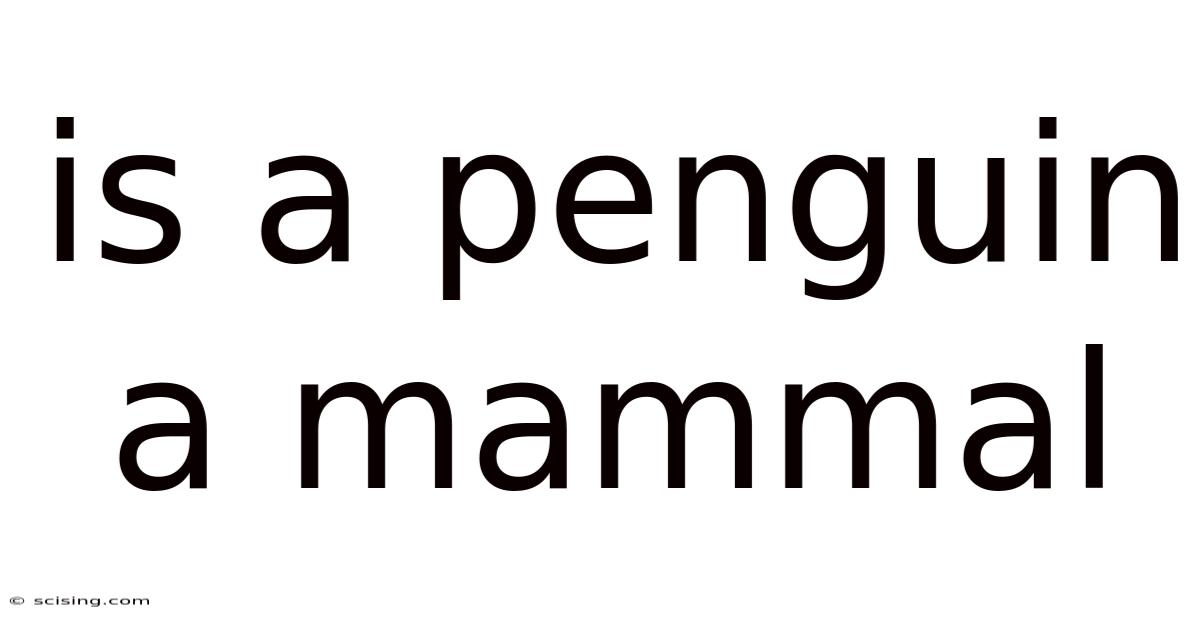 Is A Penguin A Mammal