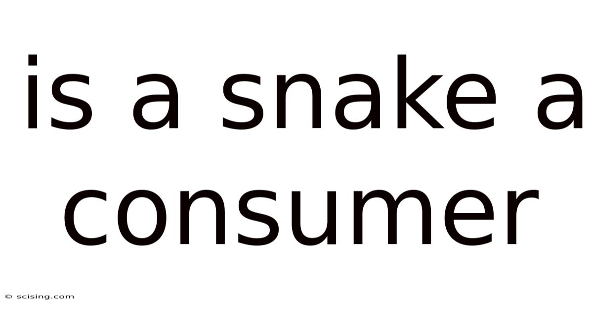 Is A Snake A Consumer