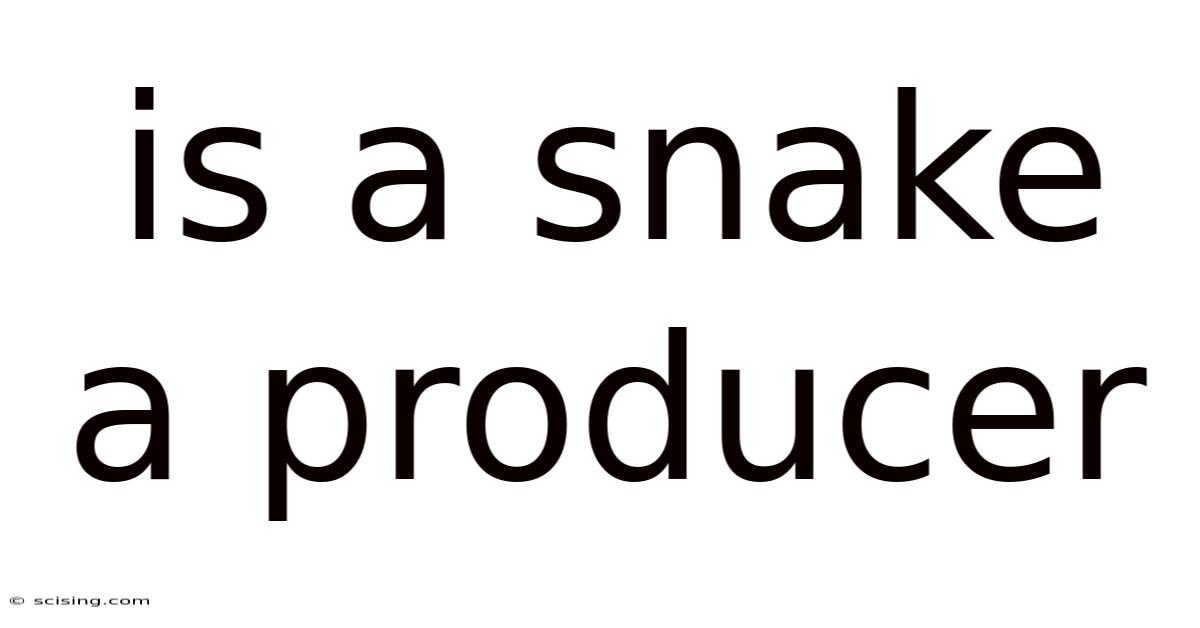 Is A Snake A Producer