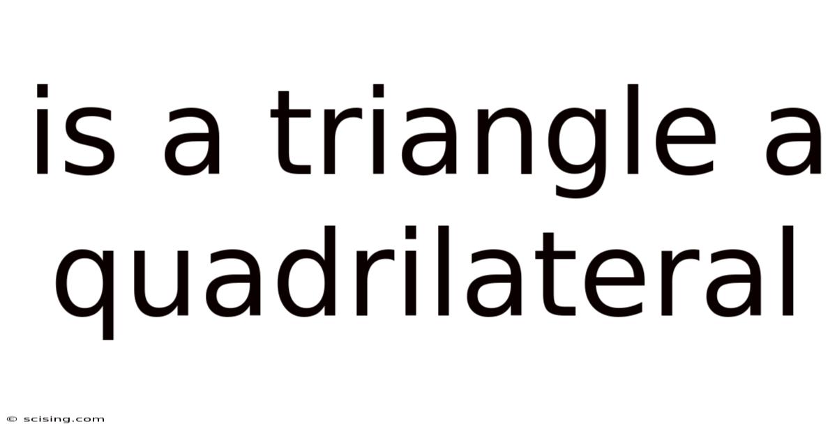 Is A Triangle A Quadrilateral