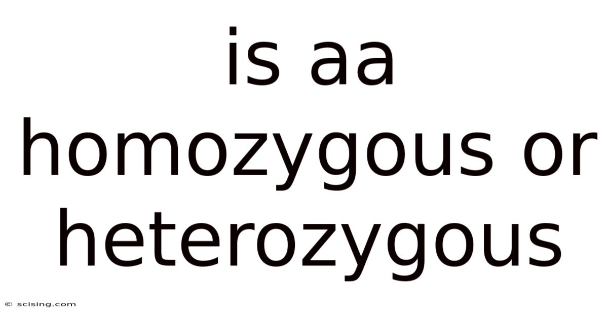 Is Aa Homozygous Or Heterozygous