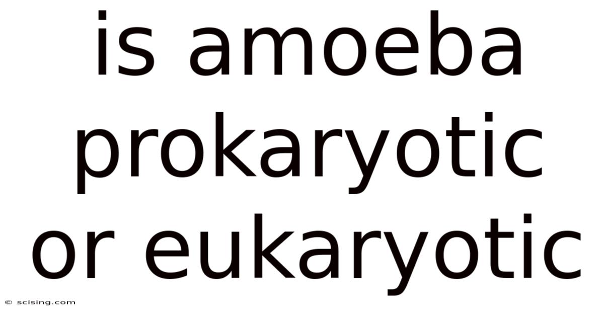 Is Amoeba Prokaryotic Or Eukaryotic