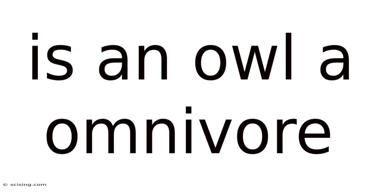 Is An Owl A Omnivore