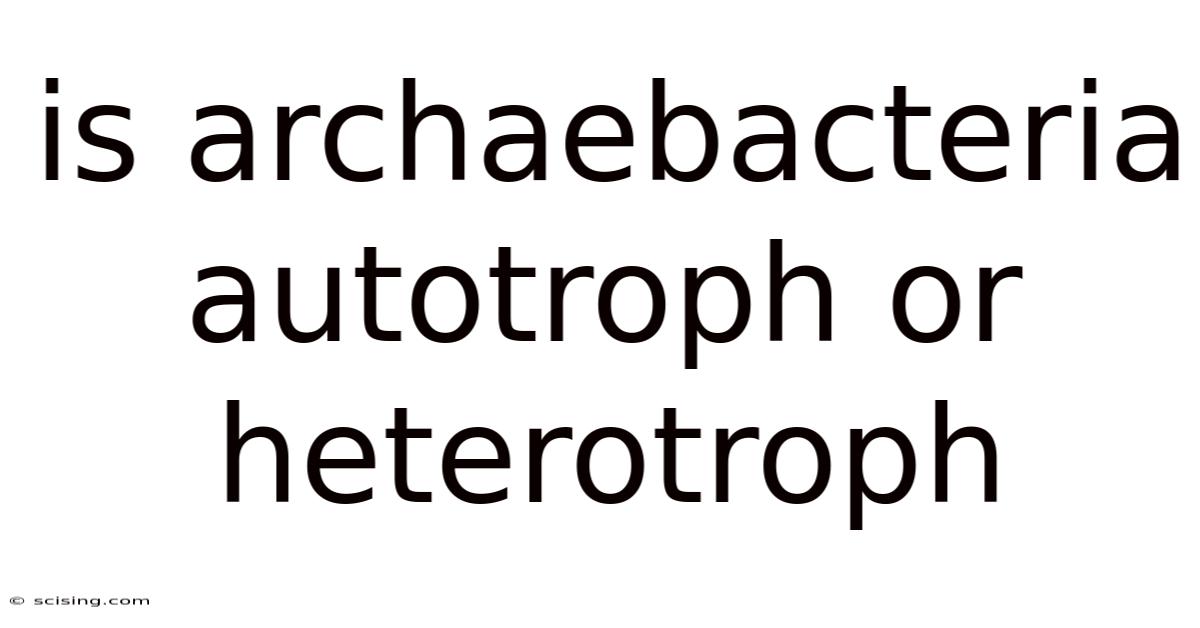 Is Archaebacteria Autotroph Or Heterotroph
