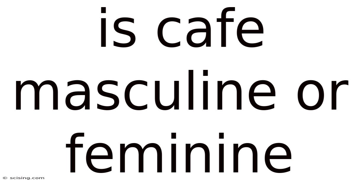 Is Cafe Masculine Or Feminine