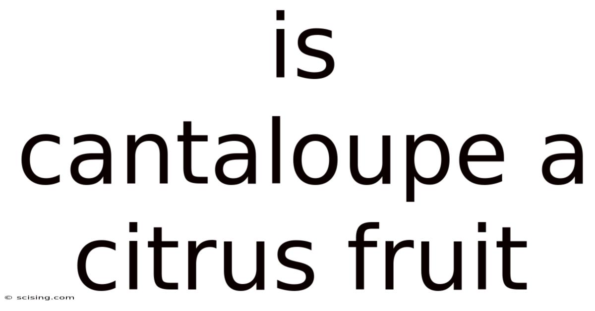 Is Cantaloupe A Citrus Fruit