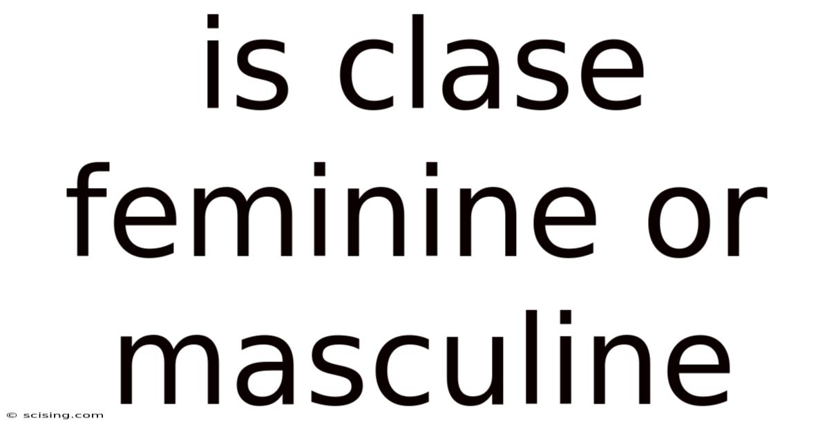 Is Clase Feminine Or Masculine