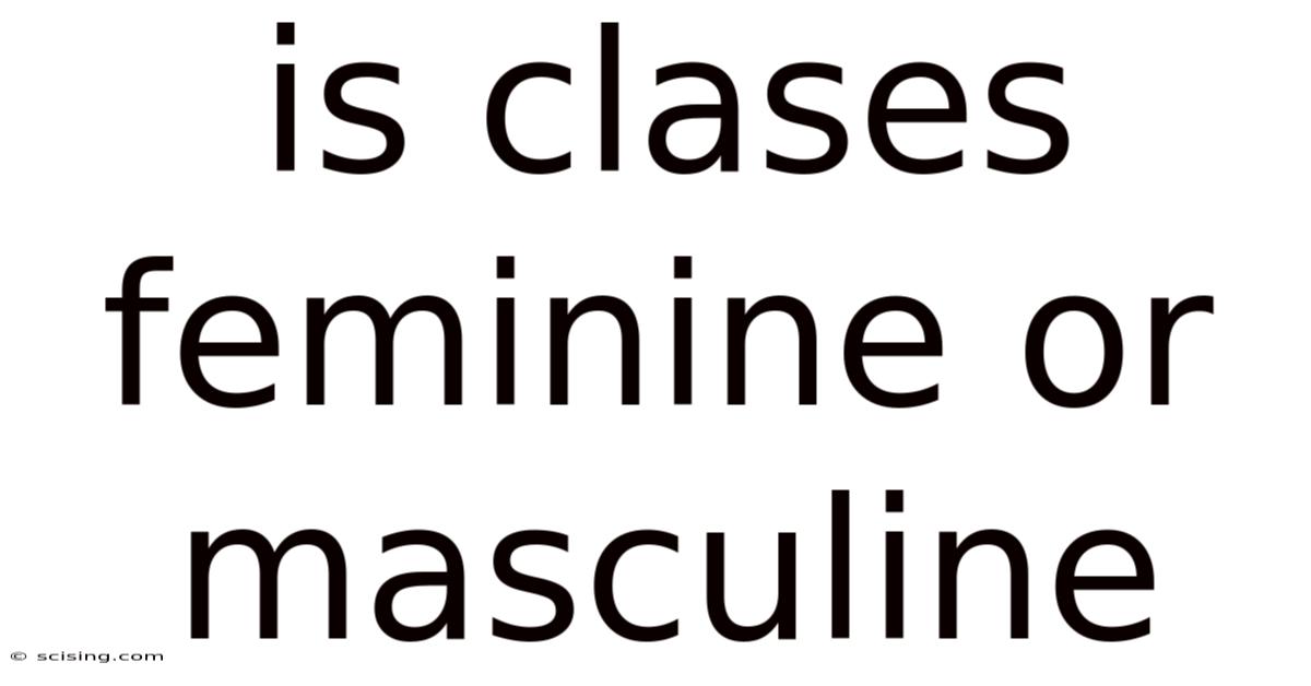 Is Clases Feminine Or Masculine