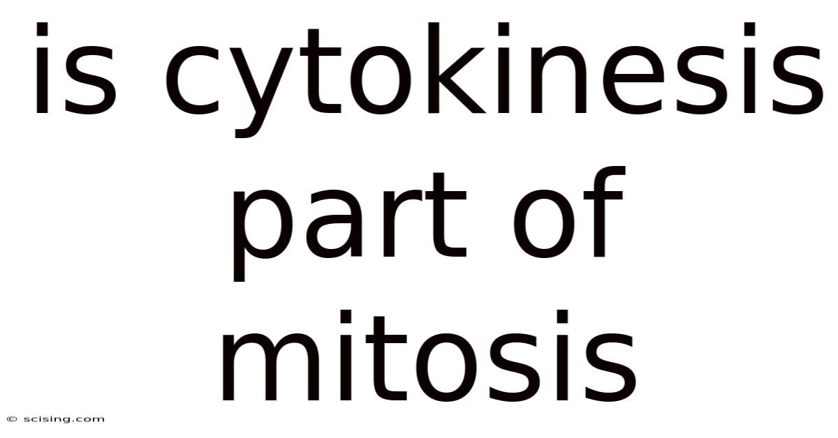 Is Cytokinesis Part Of Mitosis