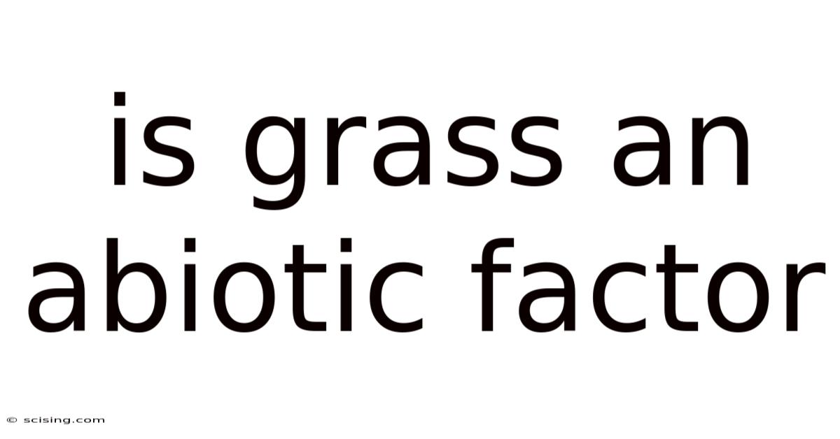 Is Grass An Abiotic Factor