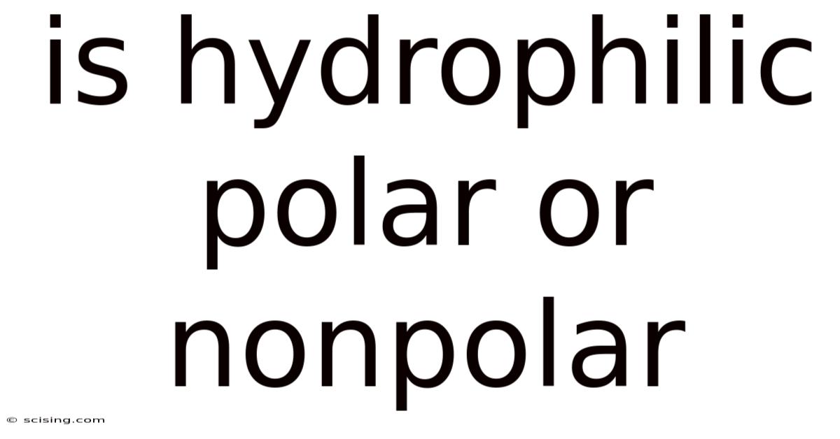 Is Hydrophilic Polar Or Nonpolar