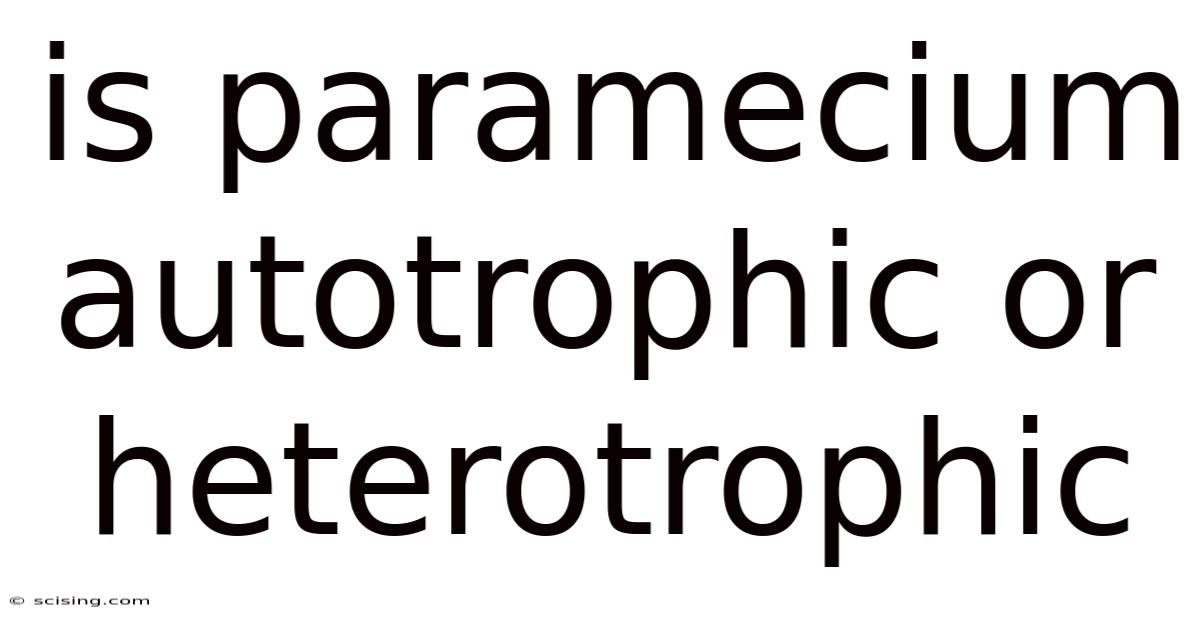 Is Paramecium Autotrophic Or Heterotrophic
