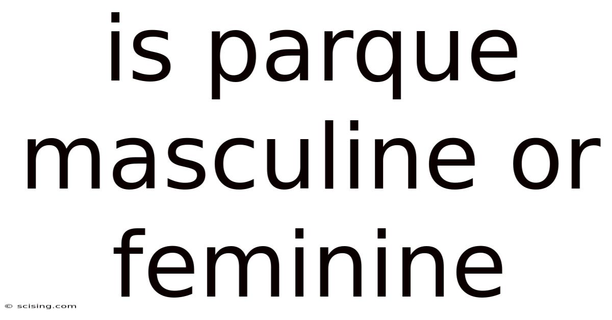 Is Parque Masculine Or Feminine