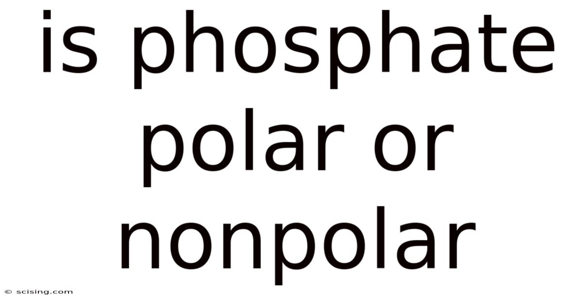 Is Phosphate Polar Or Nonpolar