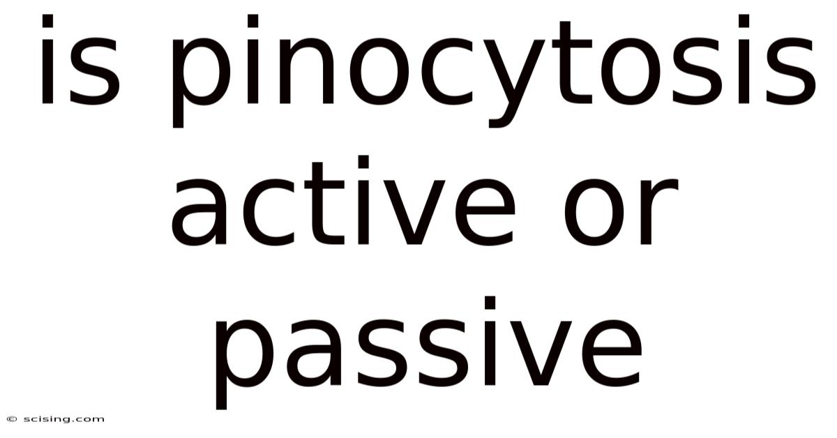 Is Pinocytosis Active Or Passive