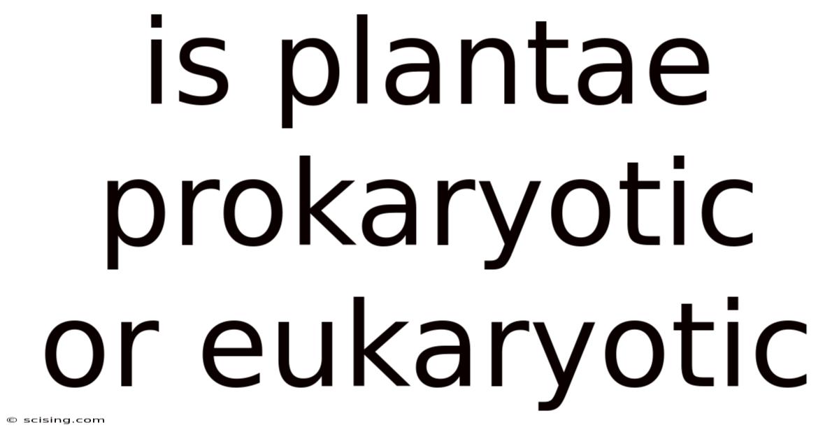 Is Plantae Prokaryotic Or Eukaryotic