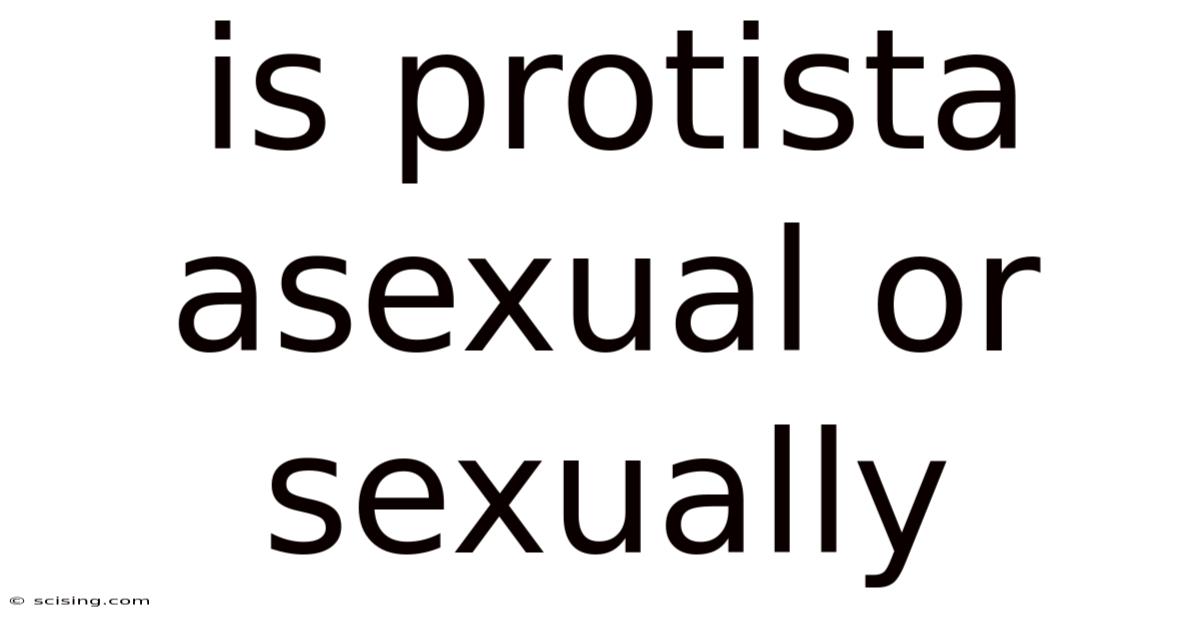 Is Protista Asexual Or Sexually