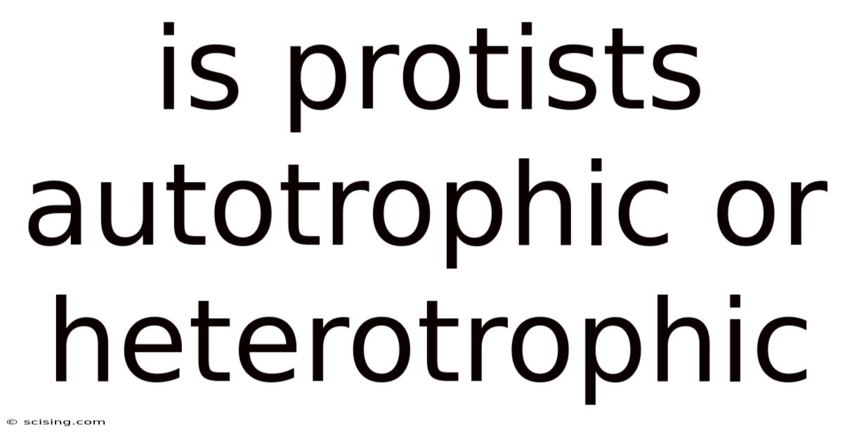 Is Protists Autotrophic Or Heterotrophic