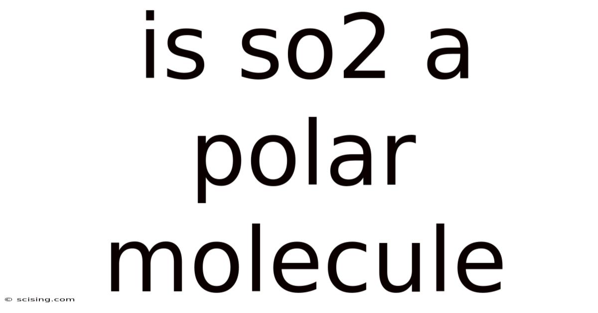 Is So2 A Polar Molecule