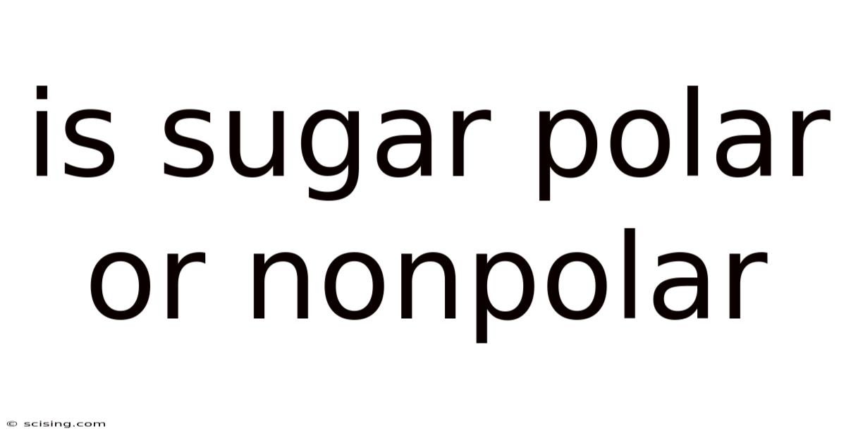 Is Sugar Polar Or Nonpolar