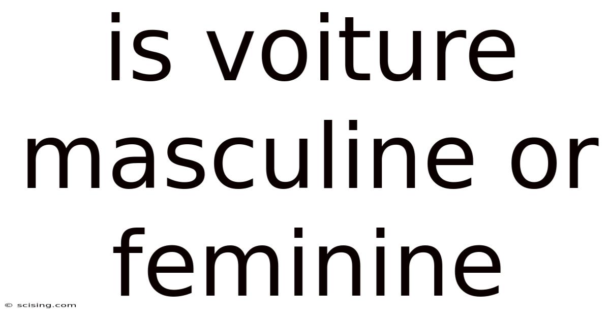 Is Voiture Masculine Or Feminine
