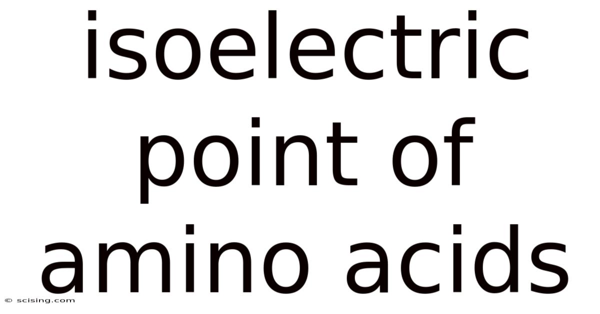 Isoelectric Point Of Amino Acids