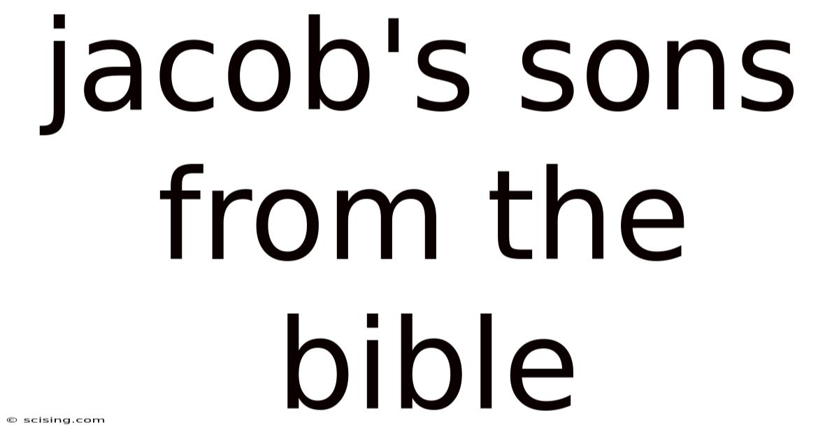 Jacob's Sons From The Bible
