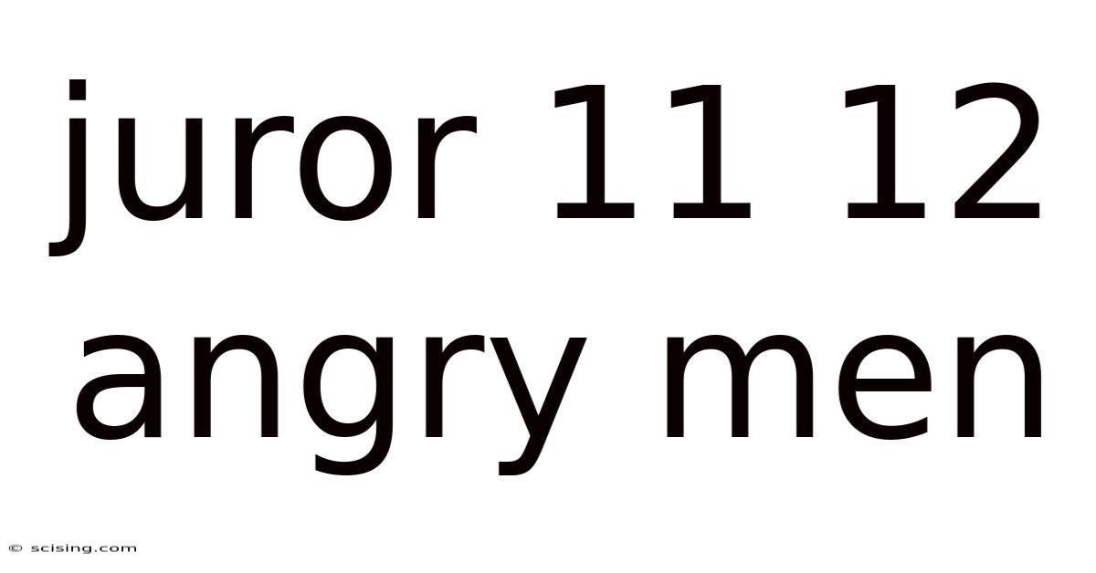 Juror 11 12 Angry Men