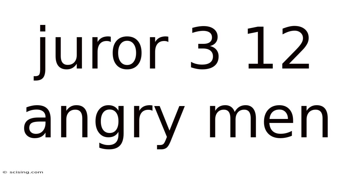 Juror 3 12 Angry Men