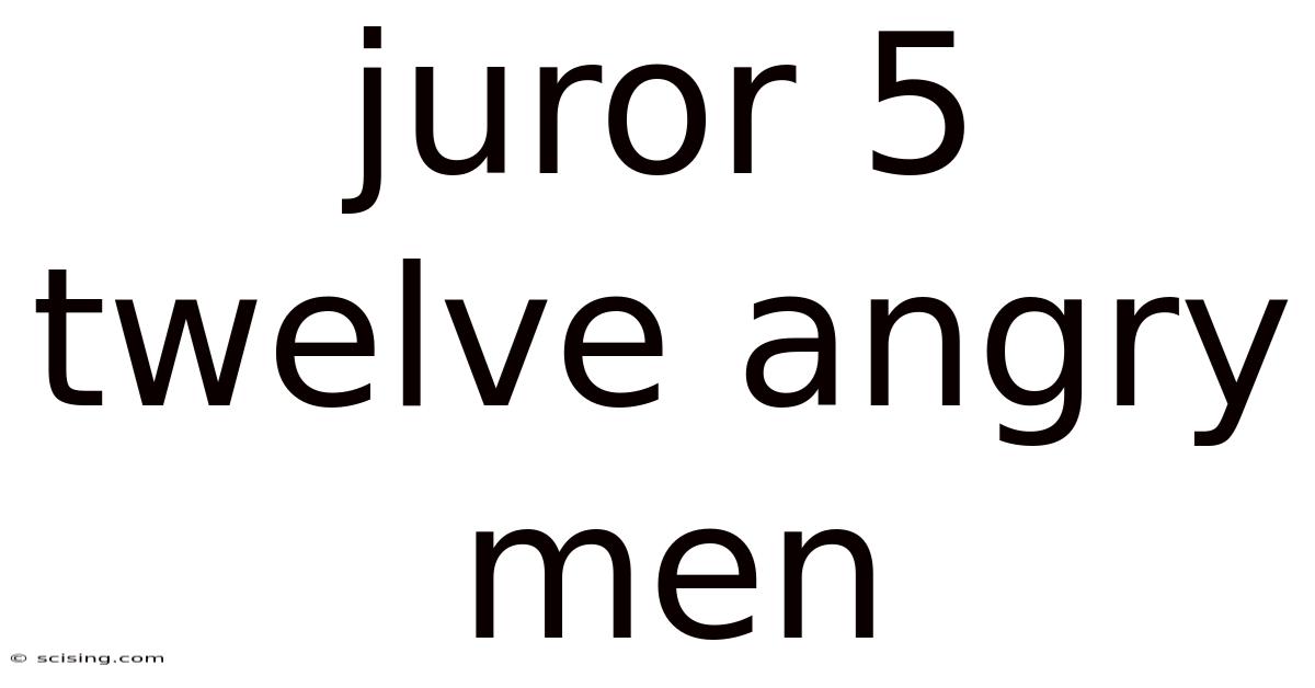 Juror 5 Twelve Angry Men