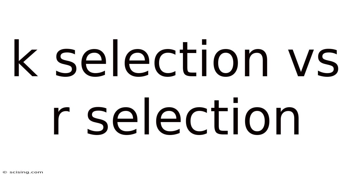 K Selection Vs R Selection