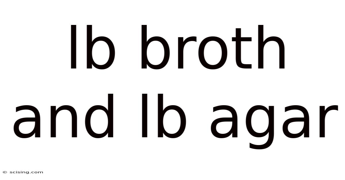 Lb Broth And Lb Agar