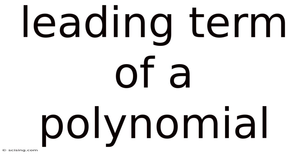 Leading Term Of A Polynomial